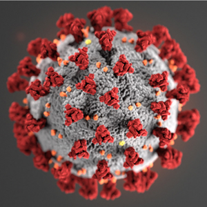 Link to more information about Coronavirus from CDC